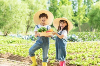 怎样训练孩子专注力和思维能力？训练儿童的专注力